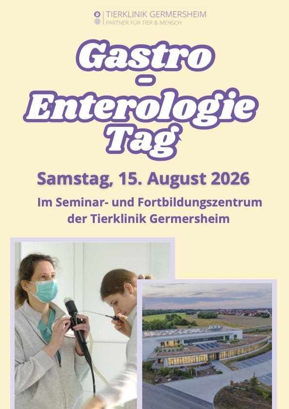 Gastro Enterologie Tag – 15. August 2026