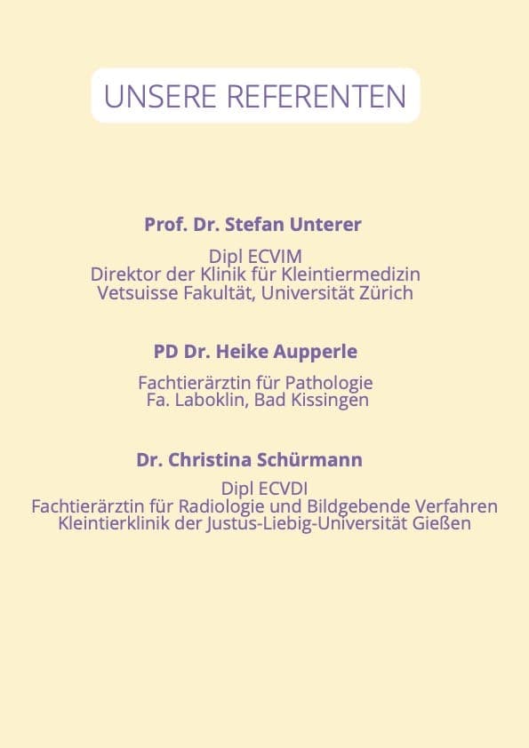 Gastro Enterologie Tag – 15. August 2026