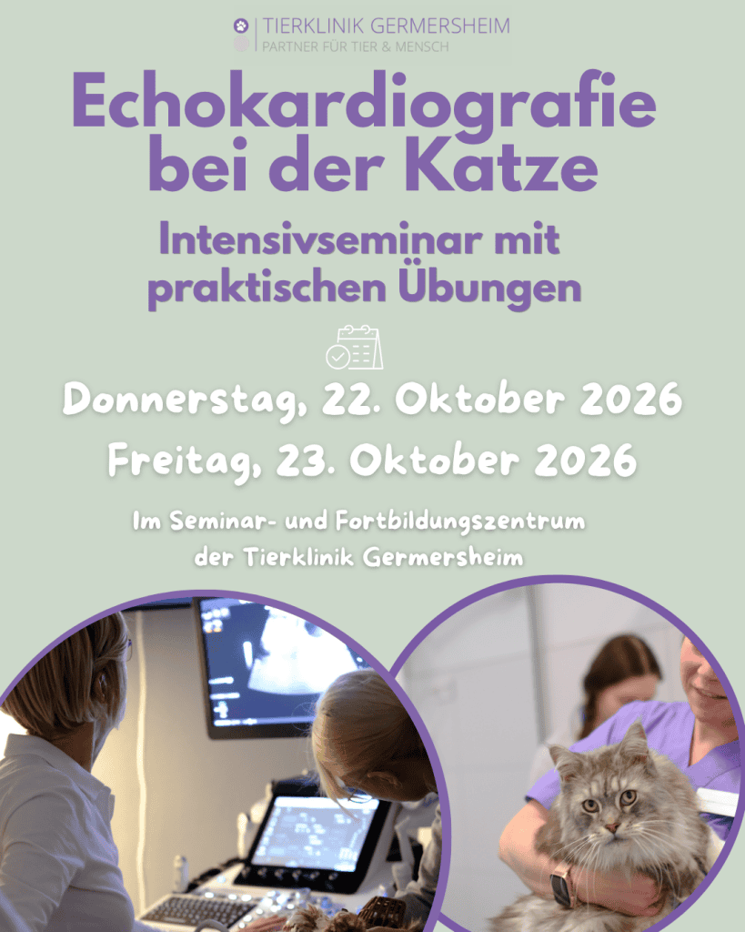 Gastro Enterologie Tag – 15. August 2026