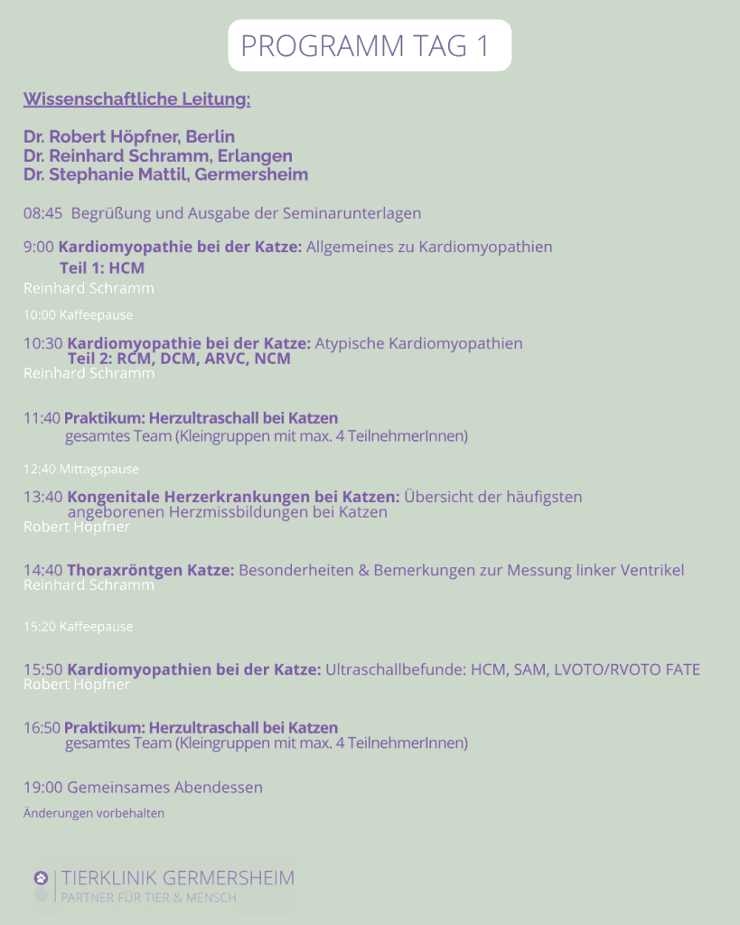 Gastro Enterologie Tag – 15. August 2026